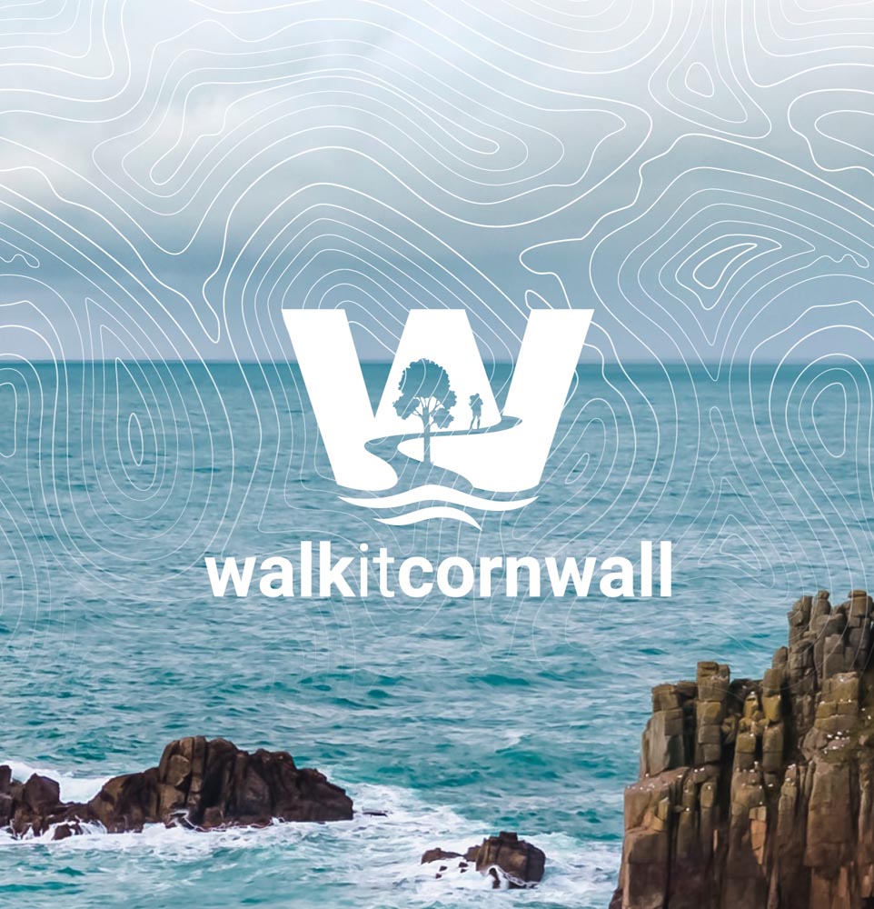 Logo designer case studies about businesses in Cornwall
